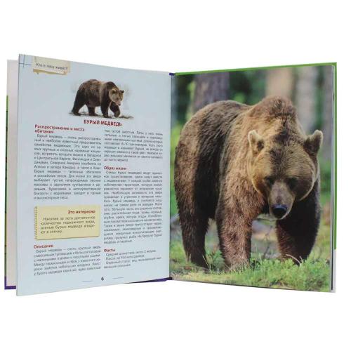 Книга Энциклопедия для детей Кто в лесу живёт Проф-Пресс ПП-00169859 фото 2
